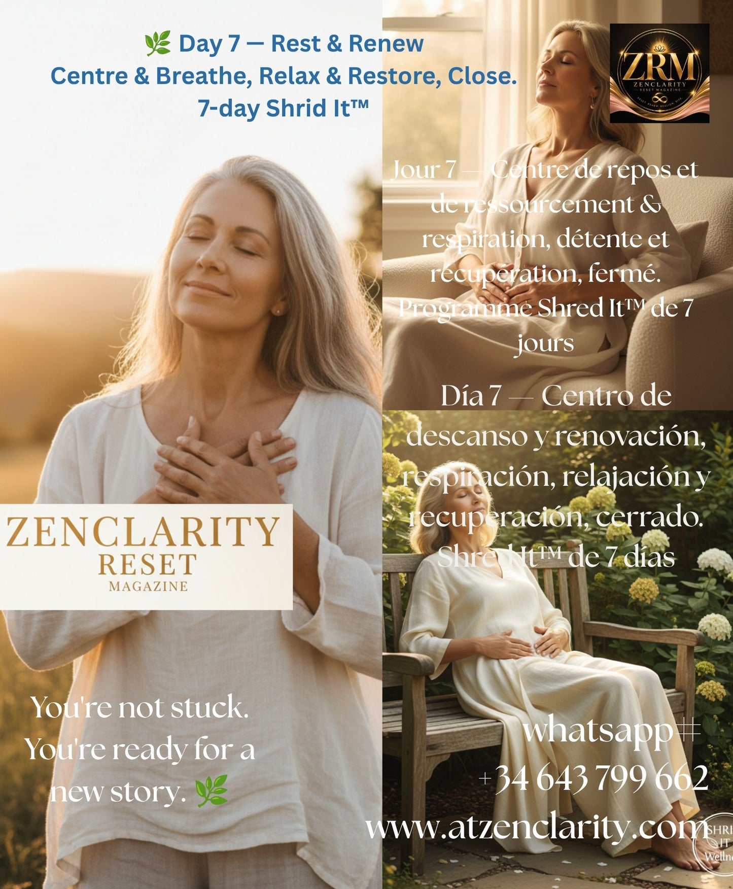 OUR SEED 7-Day Shrid It™ Wellness Reset — Free Beginner Programme