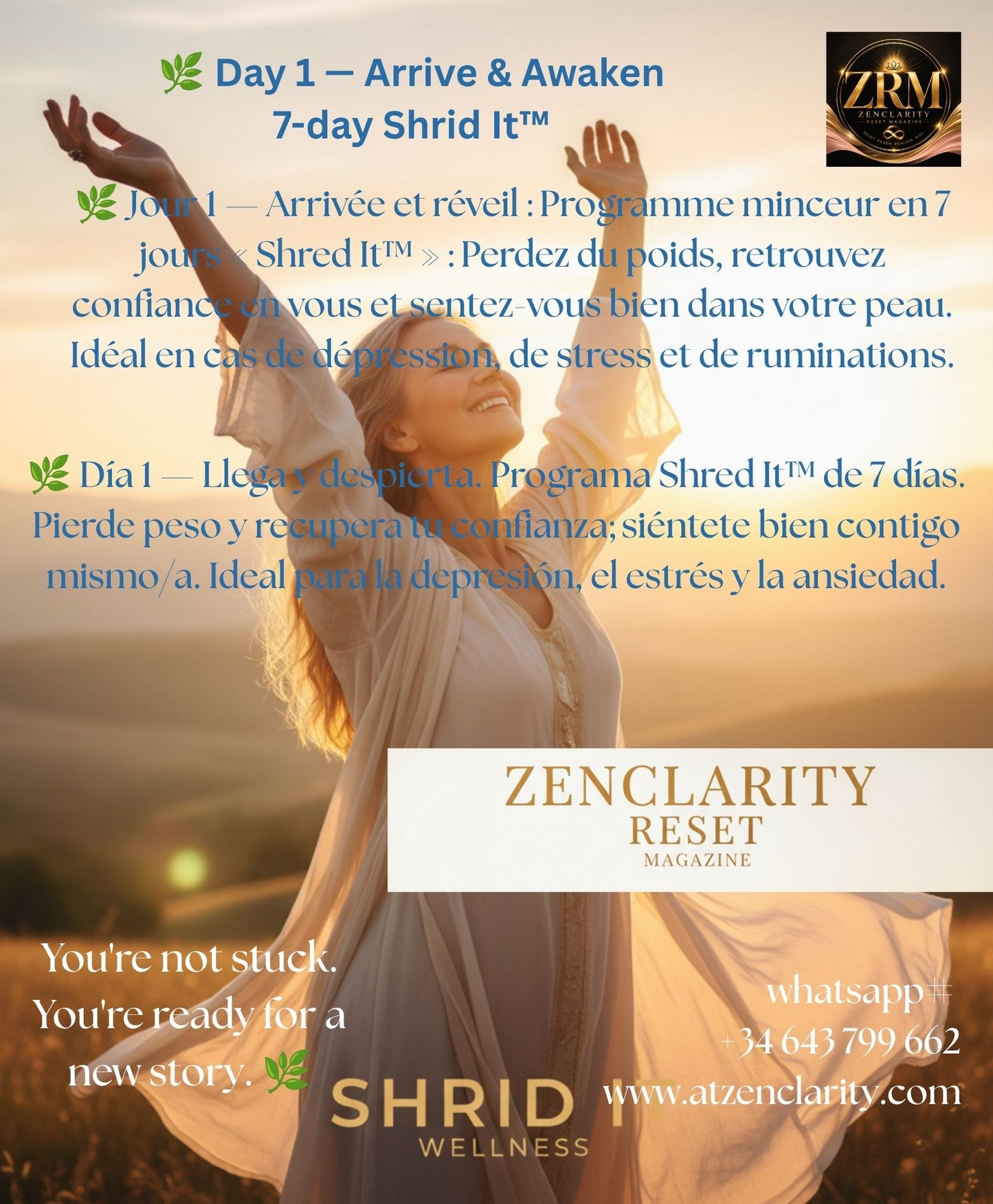 OUR SEED 7-Day Shrid It™ Wellness Reset — Free Beginner Programme