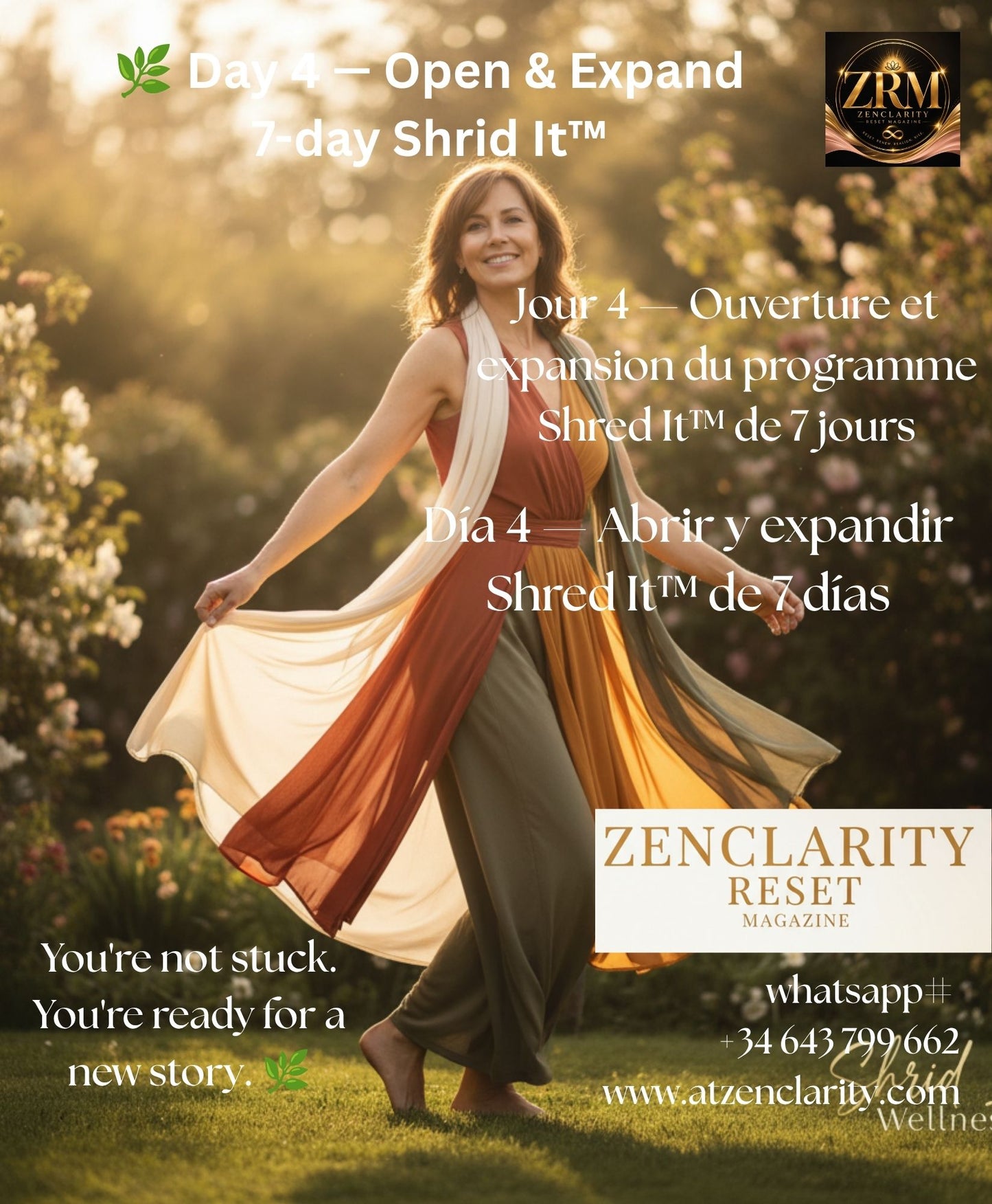 OUR SEED 7-Day Shrid It™ Wellness Reset — Free Beginner Programme