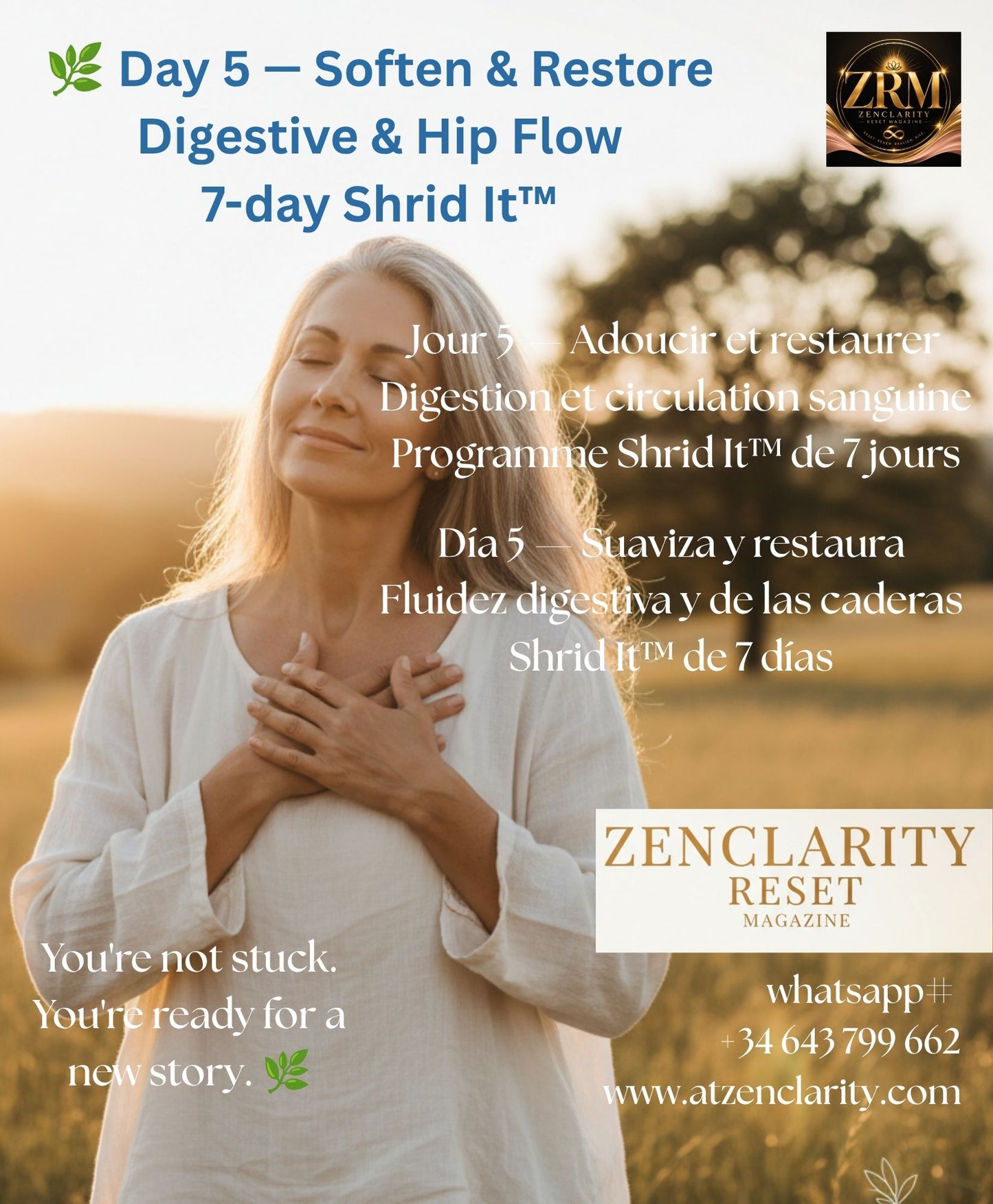 OUR SEED 7-Day Shrid It™ Wellness Reset — Free Beginner Programme