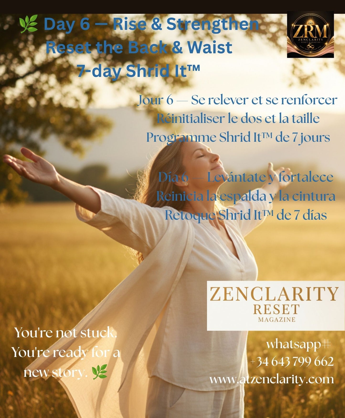 OUR SEED 7-Day Shrid It™ Wellness Reset — Free Beginner Programme