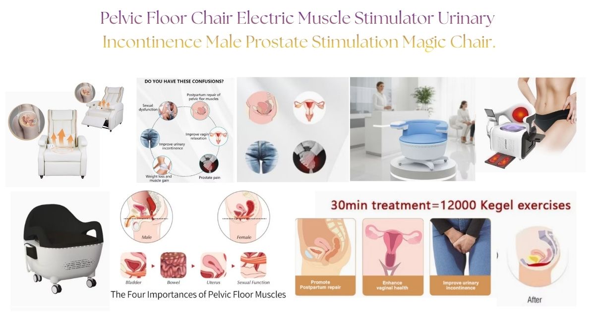 Pelvic Floor EMS Chair