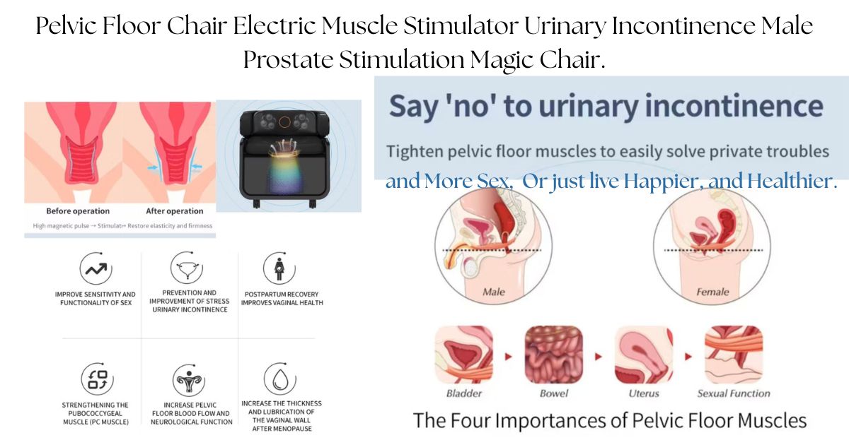 Pelvic Floor EMS Chair