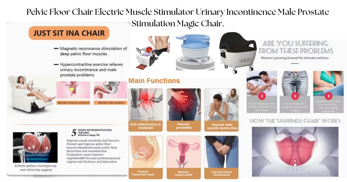 Pelvic Floor EMS Chair